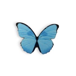 Ξύλινη εκτυπωμένη φιγούρα πεταλούδα γαλάζια Ξύλινη εκτυπωμένη φιγούρα πεταλούδα γαλάζια